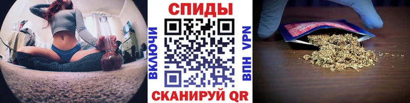 БУТИРАТ BDO 33%  Чаплыгин 
