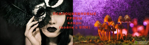 сатива Ладушкин
