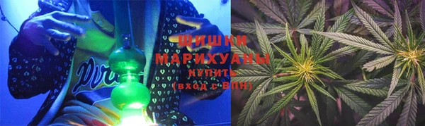 сатива Ладушкин