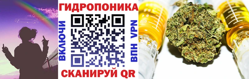 Шишки марихуана гибрид Чаплыгин